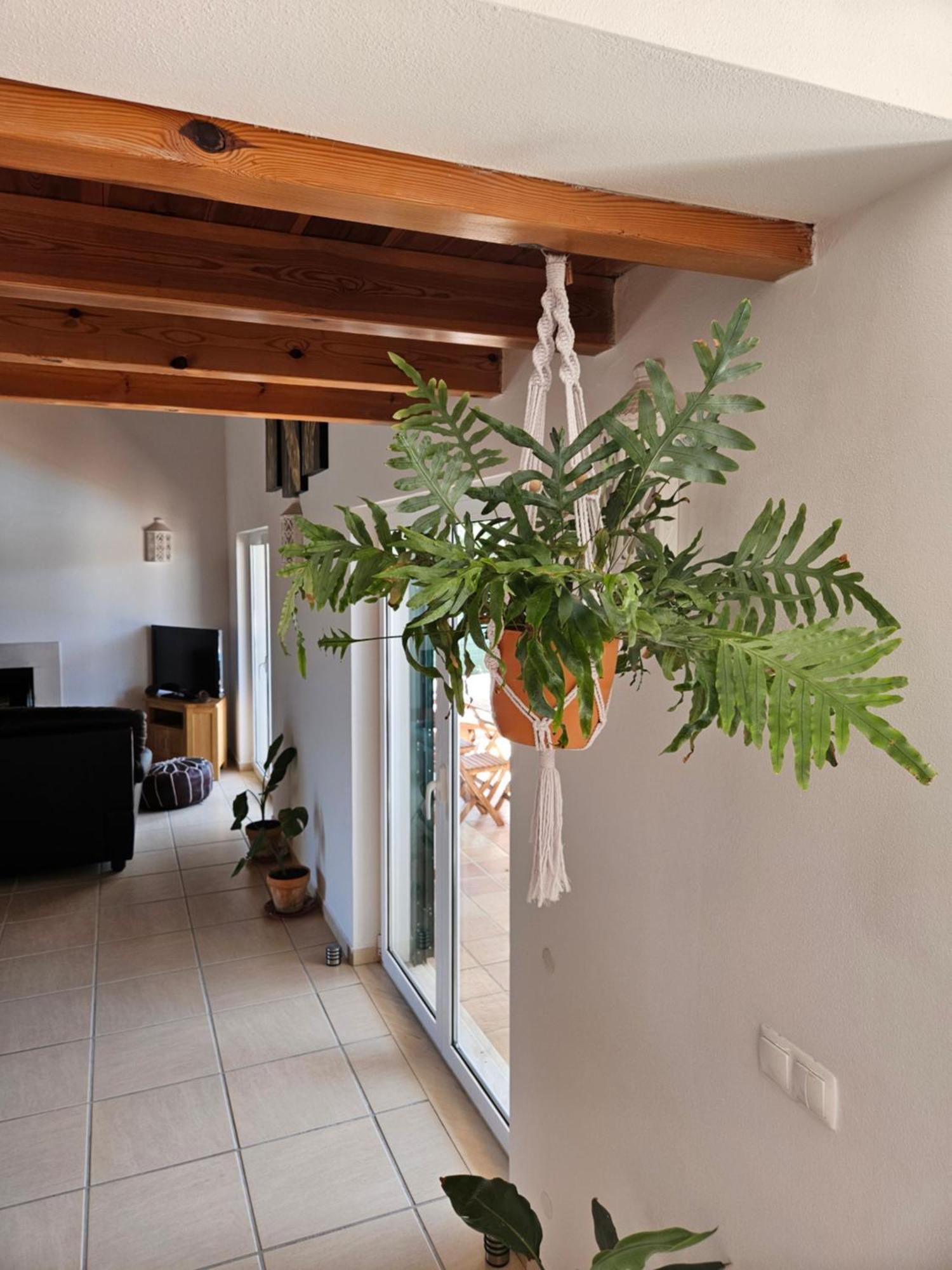 Casa Delbon Guest House Aljezur Bagian luar foto
